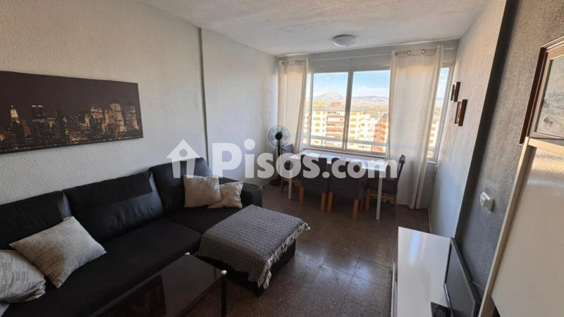 Pis – Alicante - Alacant