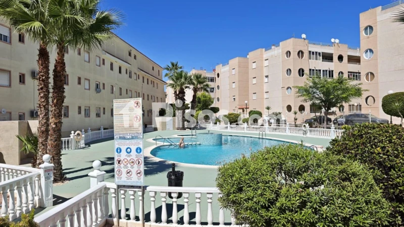 Pis – Torrevieja
