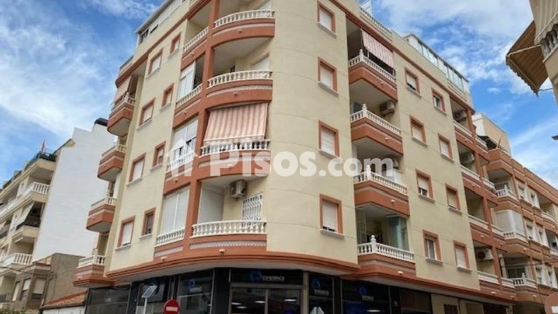 Pis – Torrevieja
