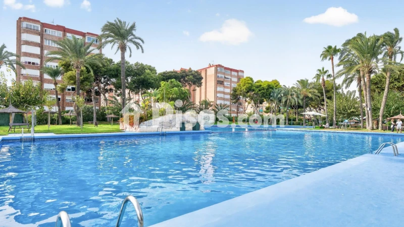 Pis – Alicante - Alacant