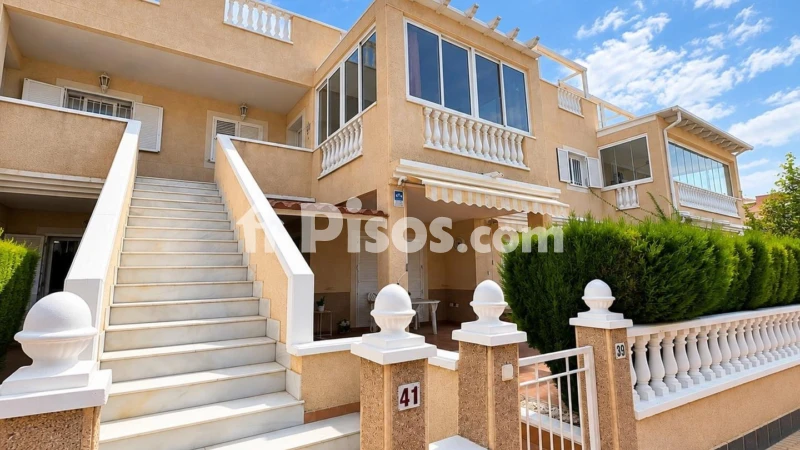 Pis – Orihuela