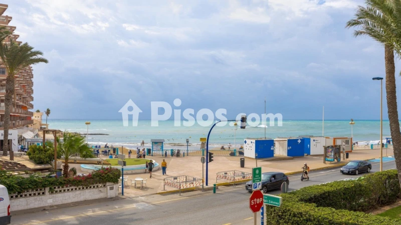 Pis – Torrevieja