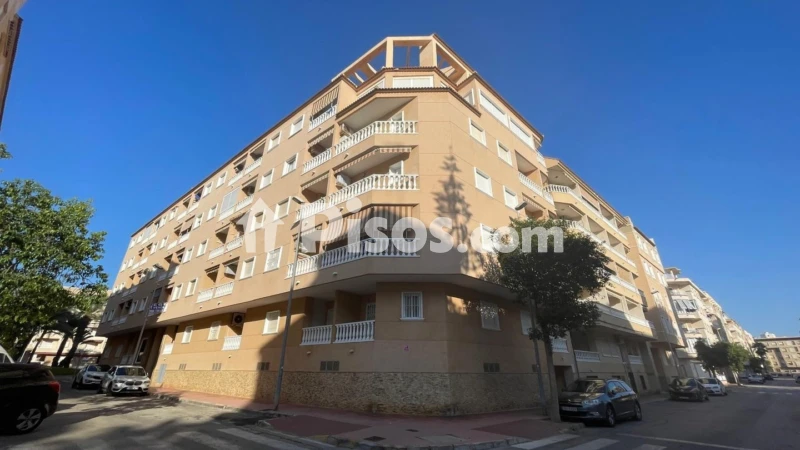 Piso – Guardamar del Segura