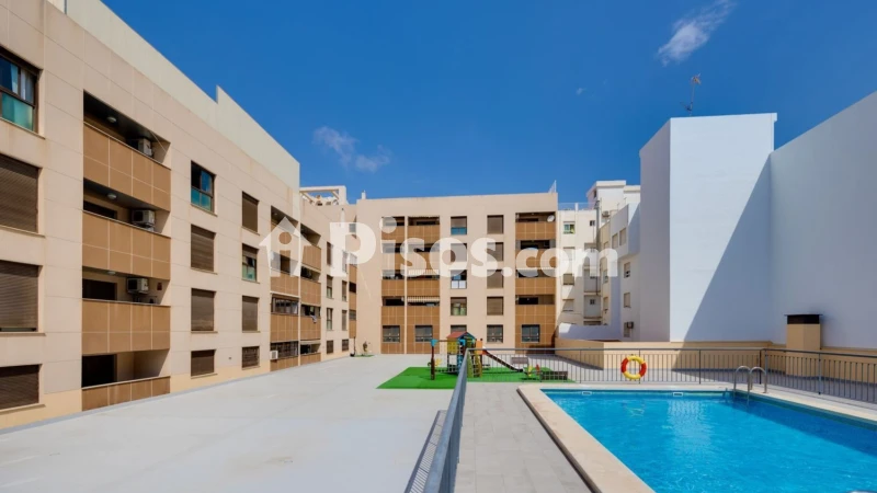 Pis – Torrevieja
