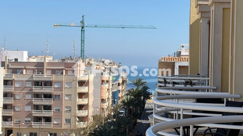 Pis – Torrevieja