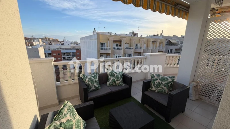 Pis – Torrevieja