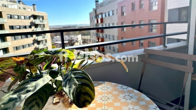 Fotografía del inmueble reportado: 800 €/mes — Albacete, Albacete