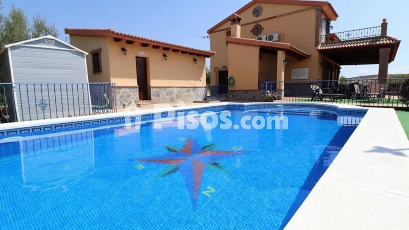 Fotografía del inmueble reportado: 1.800 €/mes — Málaga, Málaga