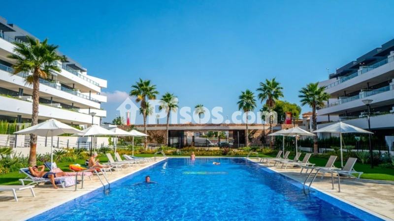 Piso – Orihuela