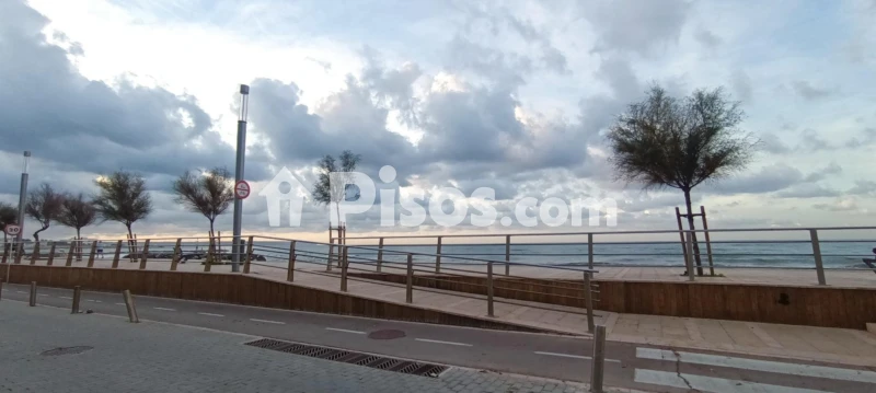 Fotografía del inmueble reportado: 1.800 €/mes — Baleares, Baleares