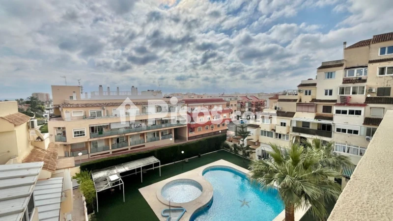 Pis – Torrevieja