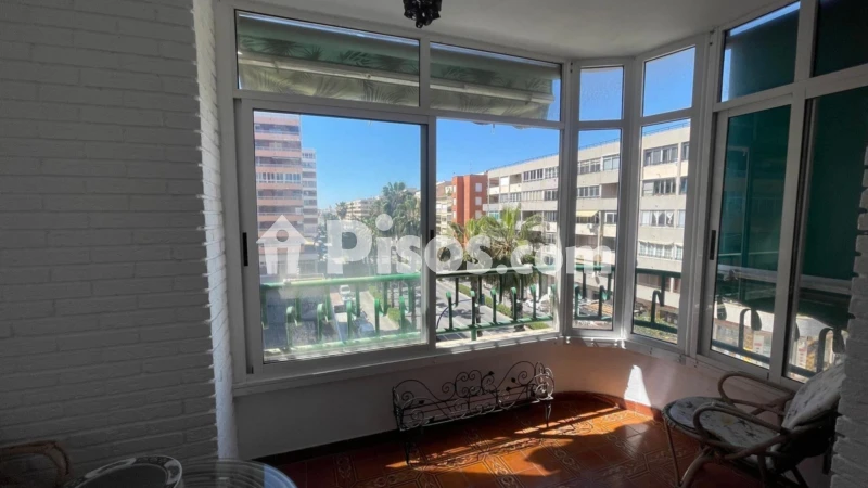 Pis – Torrevieja, San Roque
