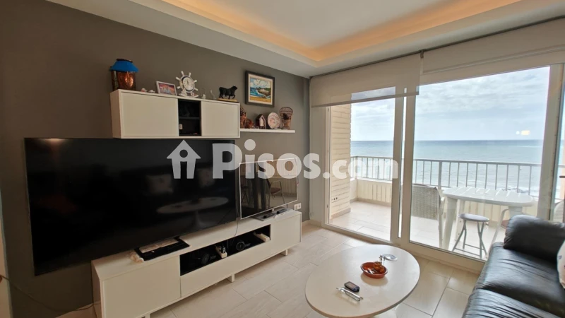 Pis – Torrevieja