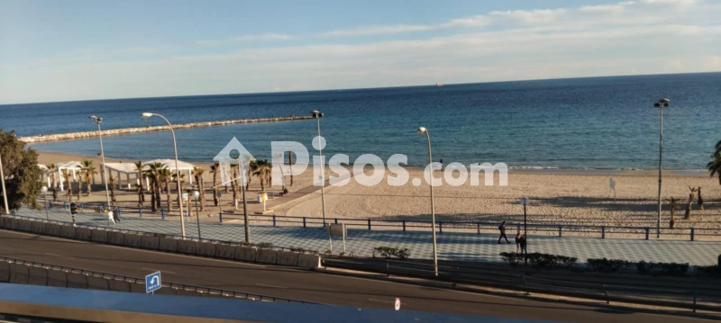 Pis – Alacant / Alicante, el Raval Roig, l'Alacantí