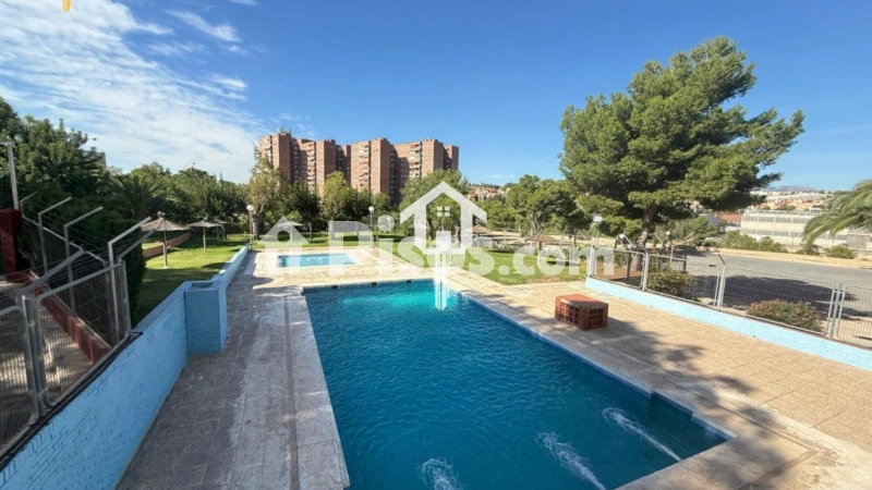 Pis – Alicante - Alacant