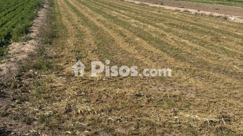 Terreno en venta en Calle Partida La Capitana