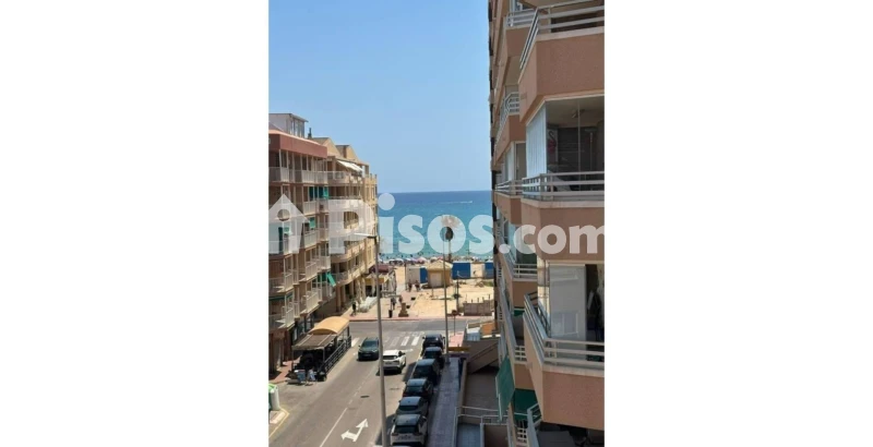 Pis – Torrevieja