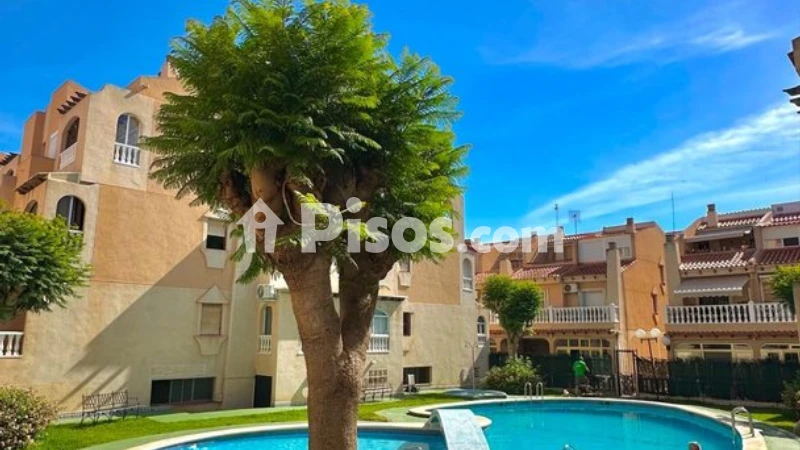 Pis – Torrevieja