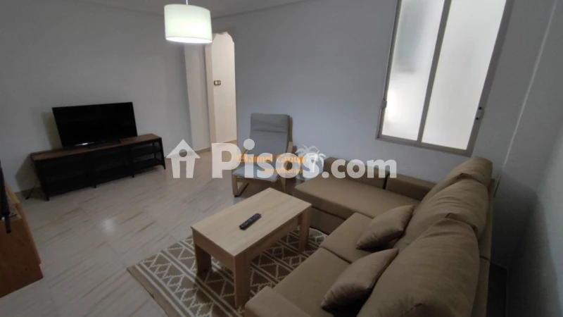 Pis – Elche/Elx, el Pla de Sant Josep, el Baix Vinalopó