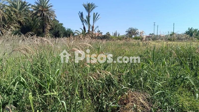 Terreno en venta en La Hoya-Daimes-El Derramador