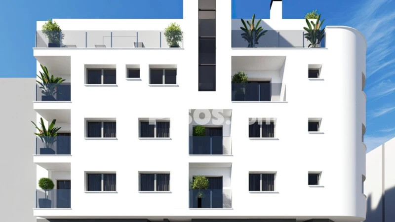 Pis – Torrevieja