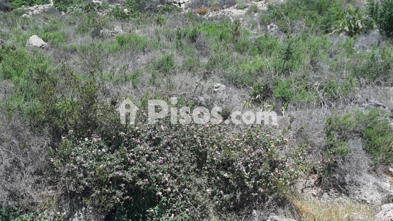 Terreno en venta en A Las Afueras