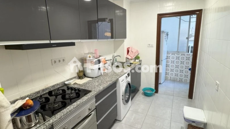 Pis – Alicante - Alacant