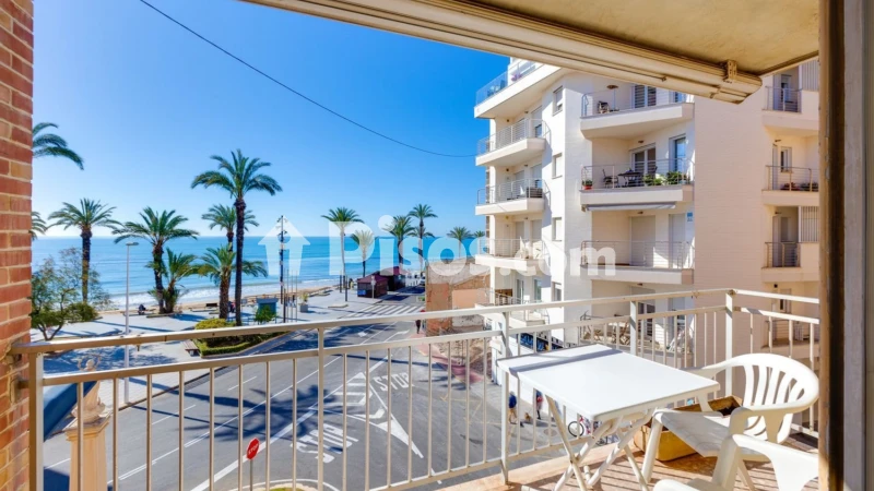 Pis – Torrevieja