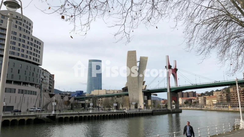 Fotografía del inmueble reportado: 1.790 €/mes — Bizkaia, Bizkaia