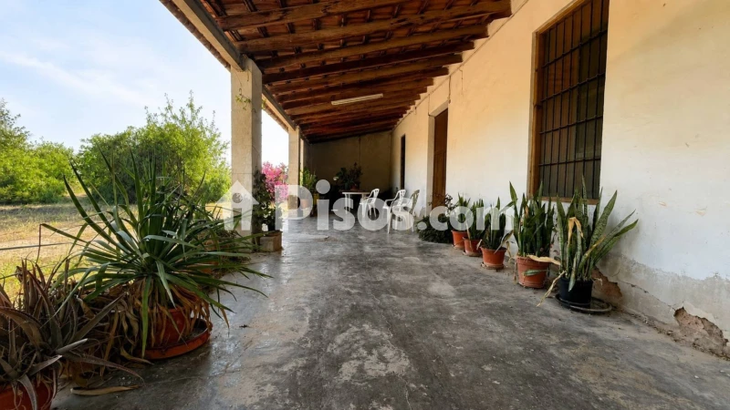 Casa – Elx / Elche, Maitino, Jubalcoi