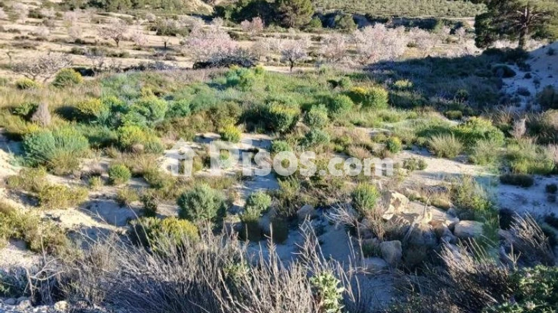 Terreno en venta en Calle Partida Foncar