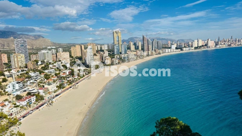 Pis – Benidorm, la Marina Baixa