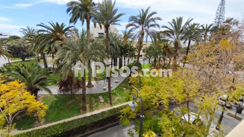 Piso – Alacant / Alicante, l'Eixample, l'Alacantí