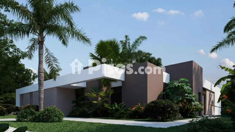 Casa – Elx - Elche