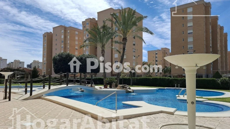 Pis – Alicante - Alacant