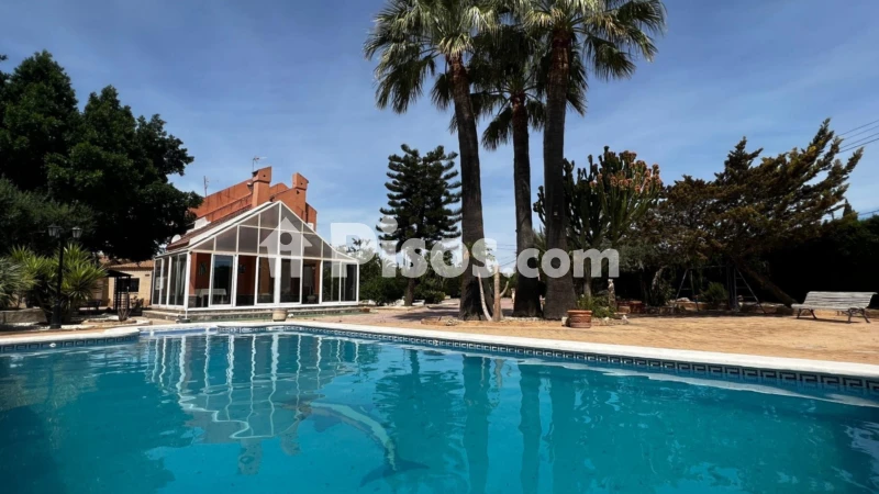 Casa – Elx / Elche, el Baix Vinalopó
