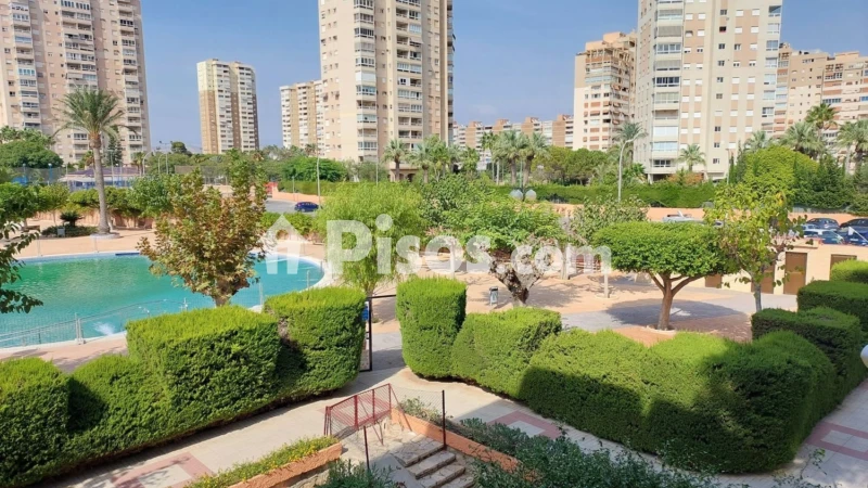 Piso – el Campello, Platja de Mutxavista