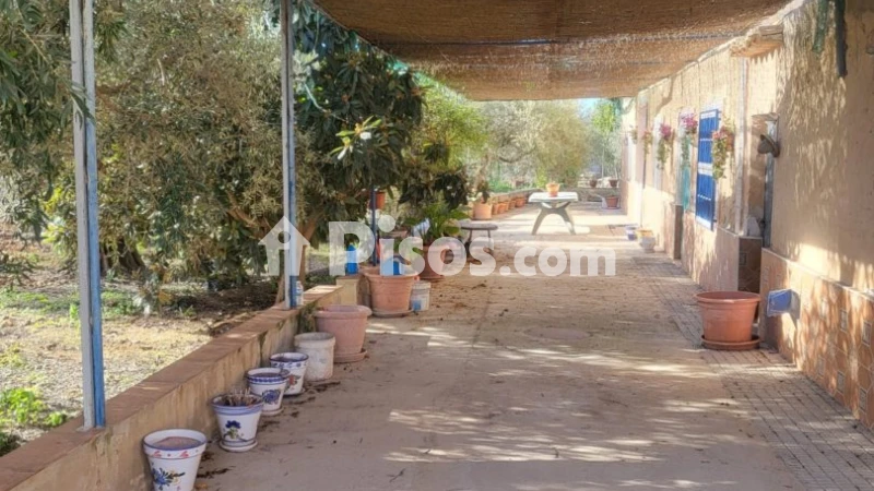 Casa – Hellín, Barrio Bartolos