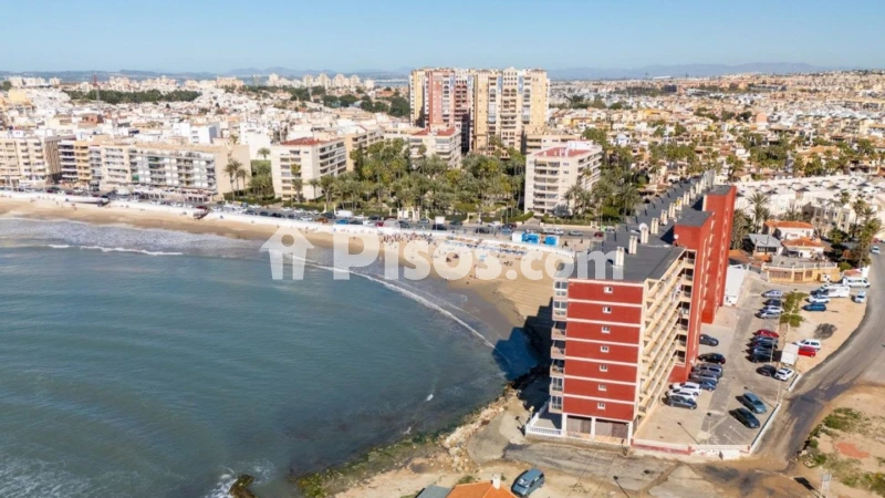Pis – Torrevieja