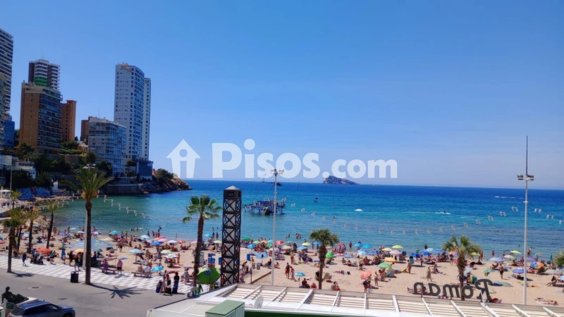 Pis – Benidorm