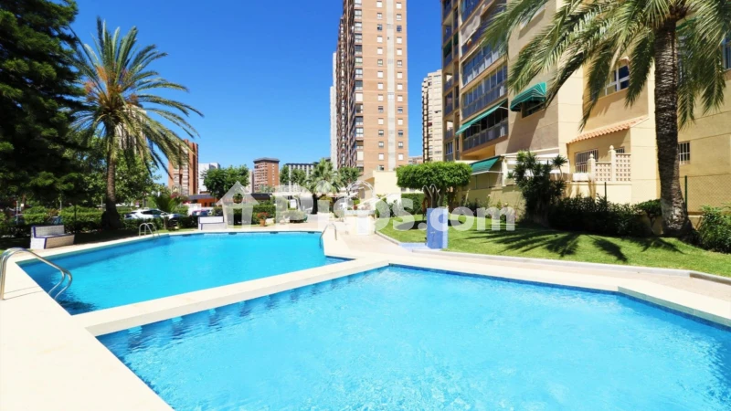 Pis – Benidorm