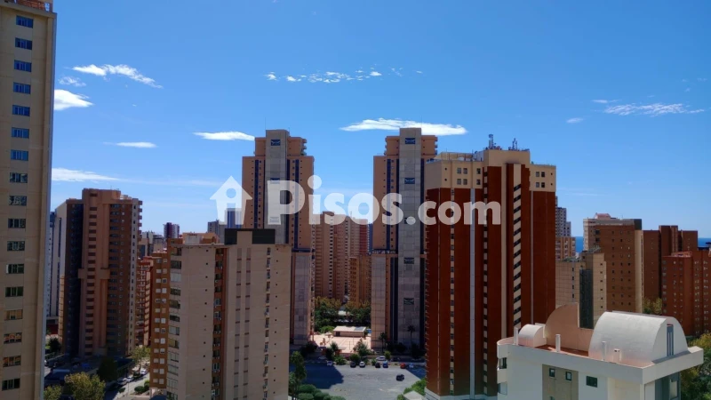 Pis – Benidorm
