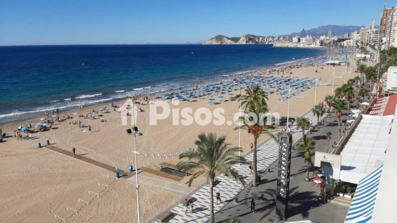 Pis – Benidorm, Llevant, la Marina Baixa