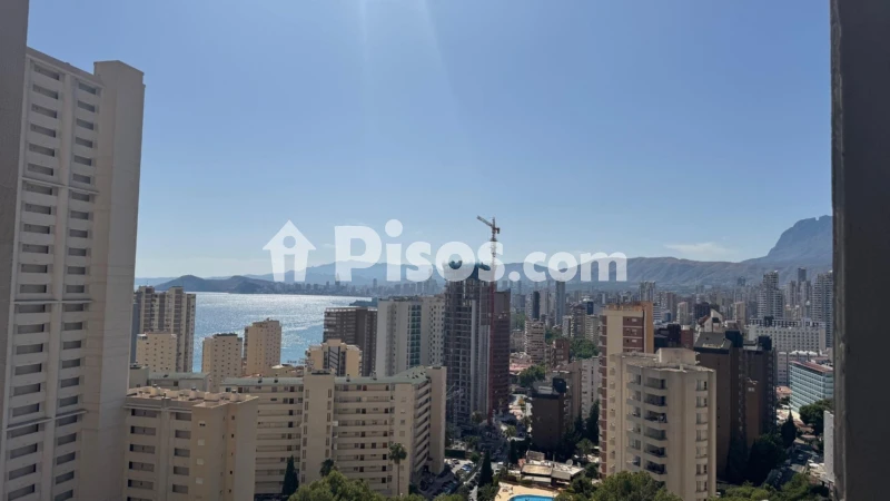 Pis – Benidorm