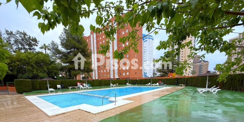 Pis – Benidorm