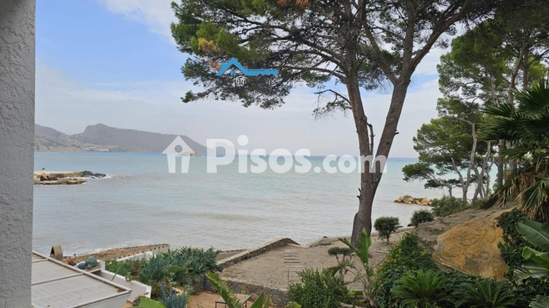Pis – Altea