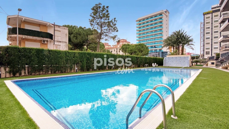 Apartment for rent in Cibeles, Number 36, Playa de Gandia (Gandia) of 3.500 €<span>/month</span>