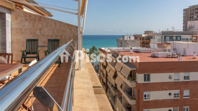 Pis – Torrevieja