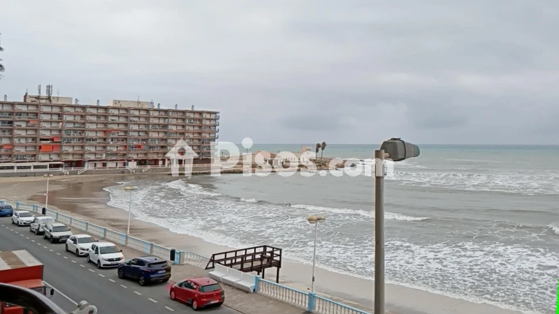 Pis – Torrevieja