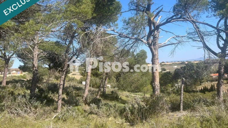 Terreno en venta en Almansa
